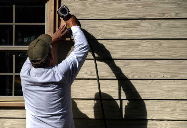 Best Custom Trim and Detailing for Siding  in Deer Park, IL