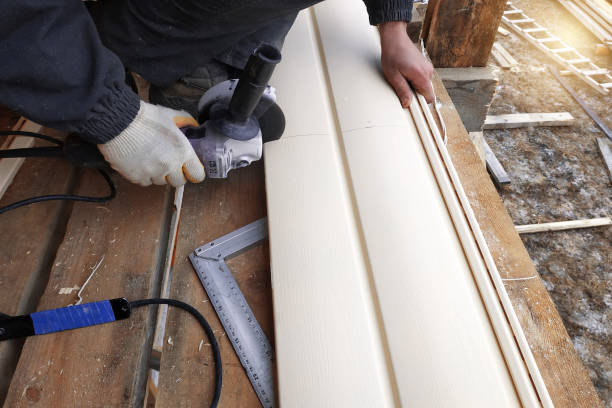 Best Aluminum Siding Installation  in Deer Park, IL